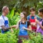 Explore Mama Noi's organic garden