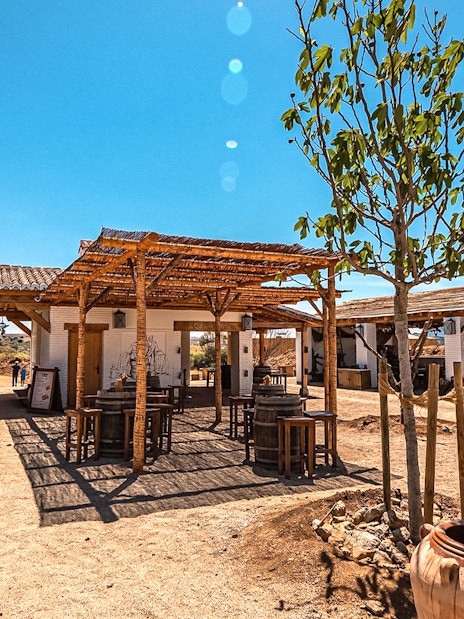 Outdoor dining area at Puy du Fou Park with rustic wooden tables and a tree.