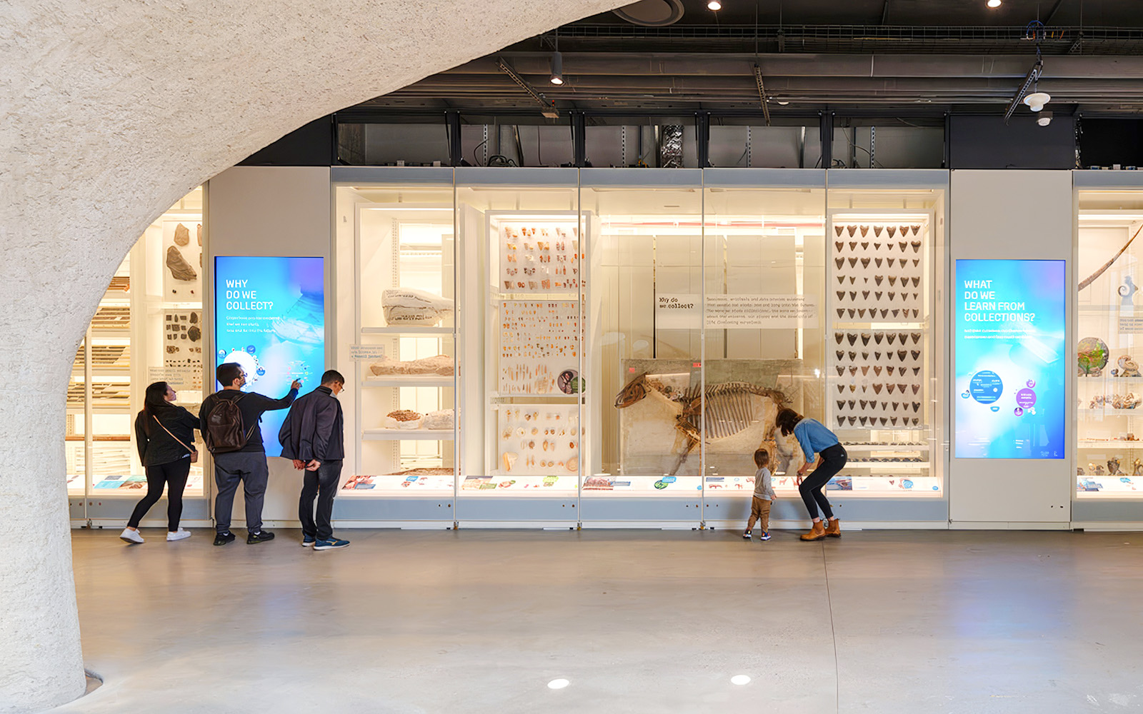 Visitors exploring exhibits at the Louis V. Gerstner, Jr. Collections Core, American Museum of Natural History.