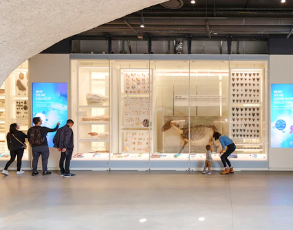 Visitors exploring exhibits at the Louis V. Gerstner, Jr. Collections Core, American Museum of Natural History.