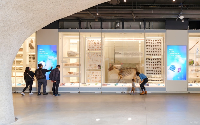 Visitors exploring exhibits at the Louis V. Gerstner, Jr. Collections Core, American Museum of Natural History.
