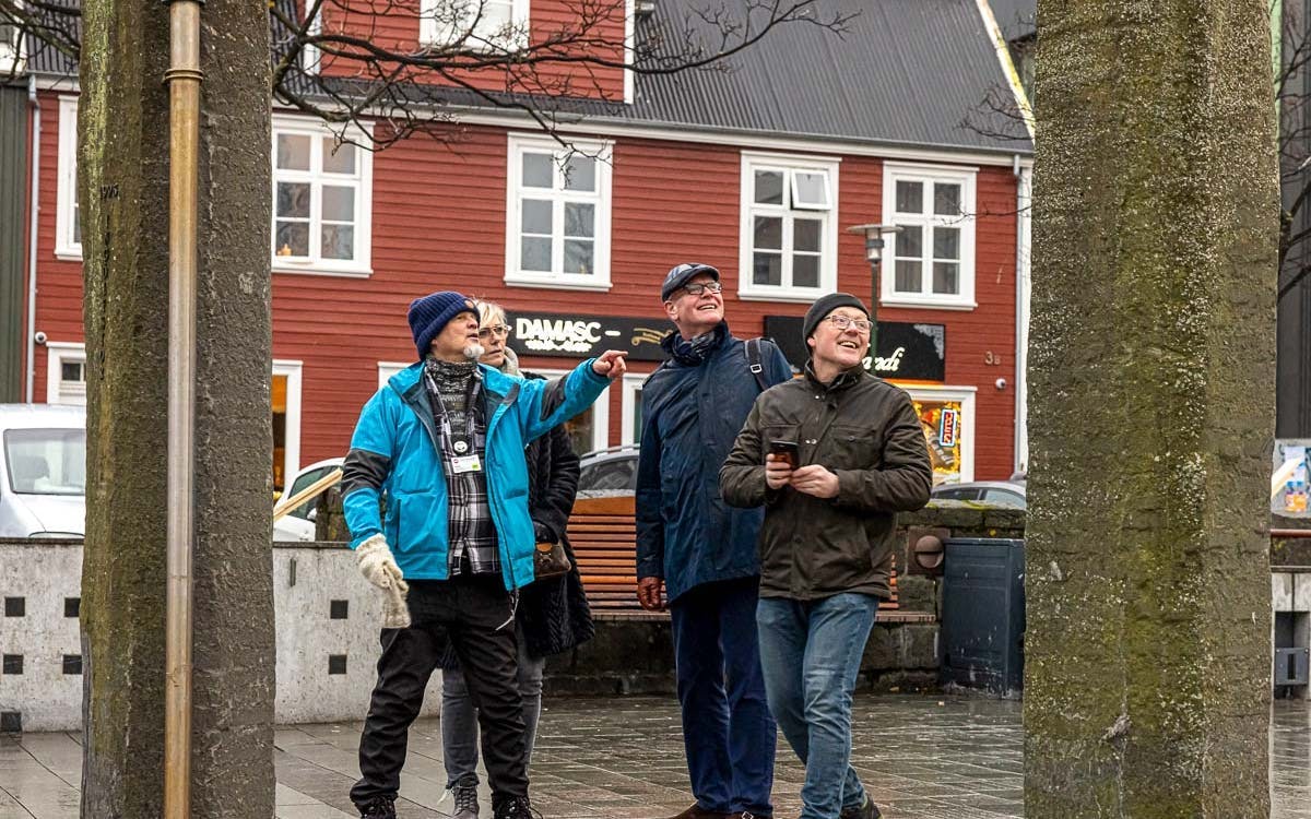 reykjavik small-group walking tour of landmarks, hidden spots, and icelandic language introduction-1