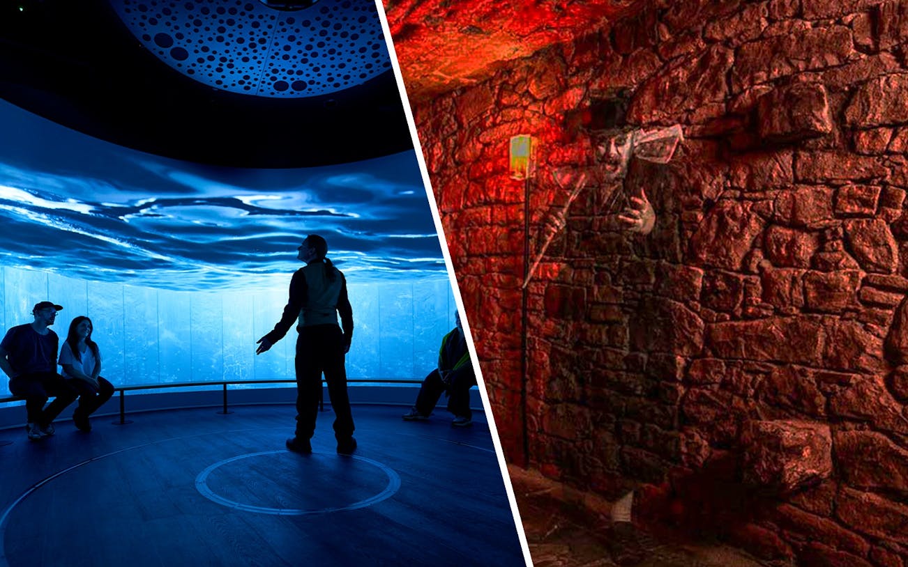 People seated in an immersive ocean-themed exhibit room, Scotland.