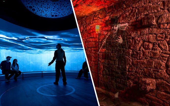 People seated in an immersive ocean-themed exhibit room, Scotland.