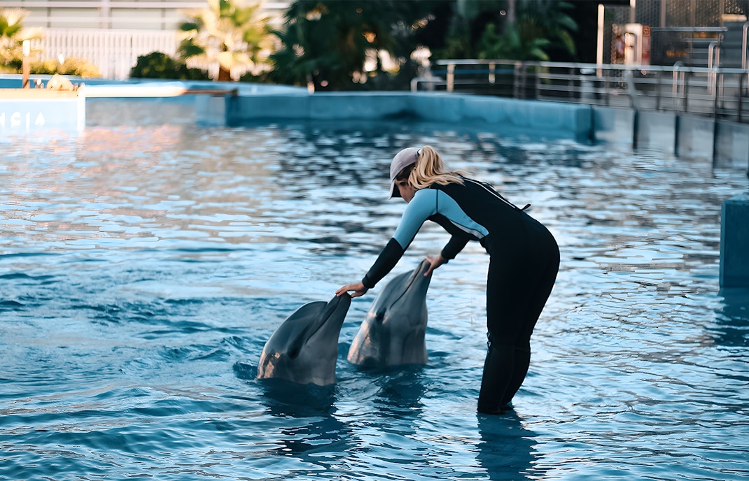 Dolphinarium