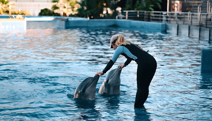 Dolphinarium