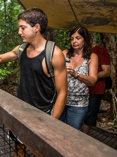 Man feeding a cassowary at Kuranda Koala Gardens, Australia.