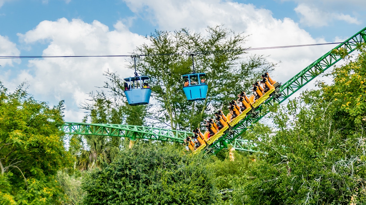 Roller coaster and skyride at Busch Gardens amidst lush greenery.