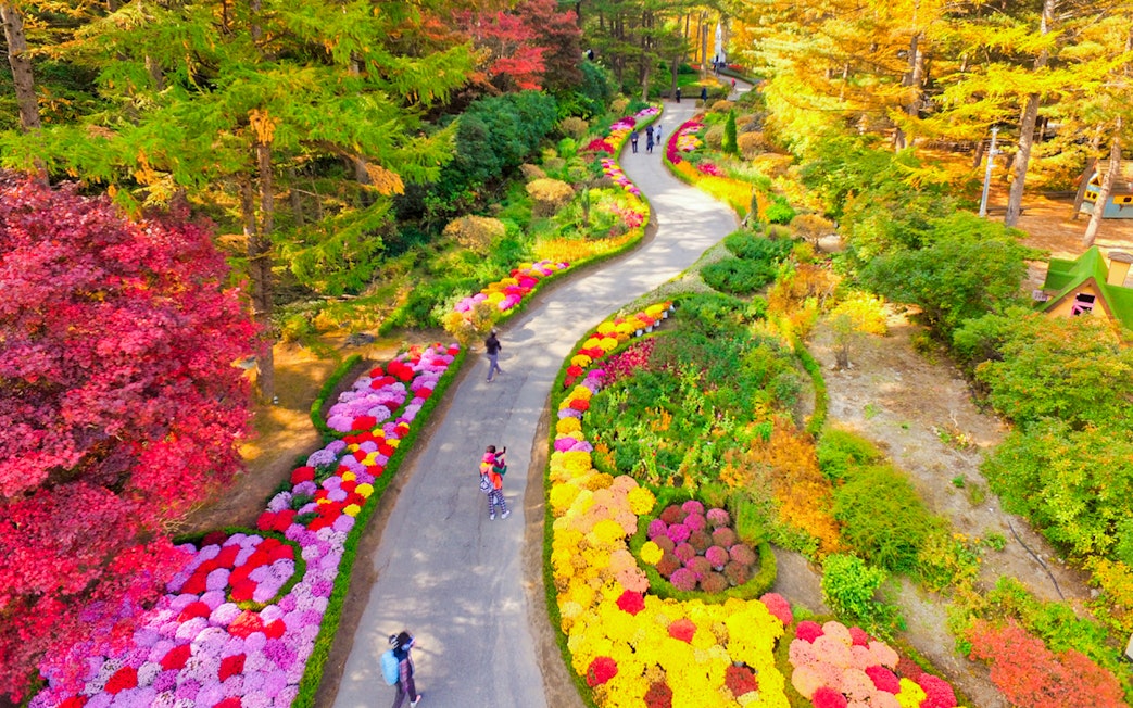 Visitors walking through colorful flower gardens at the Garden of Morning Calm, Nami Island.