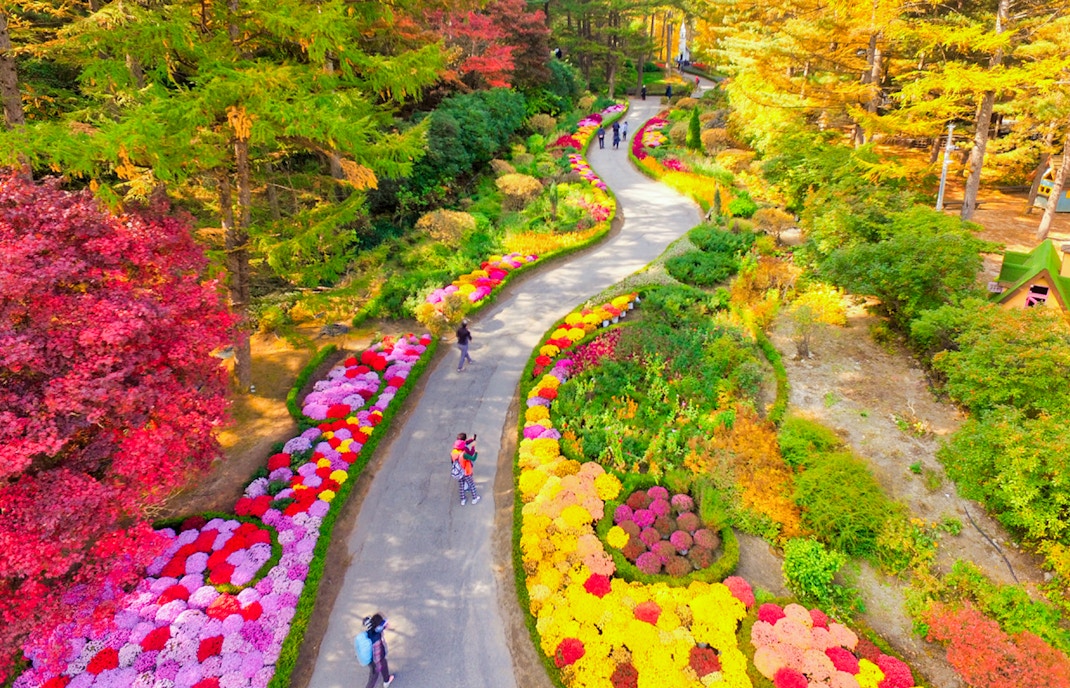 Visit to Nami Island