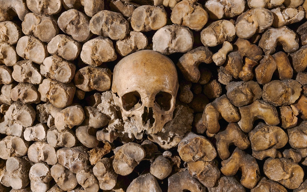 Skull surrounded by bones in the Catacombs’ Ossuary, Paris.