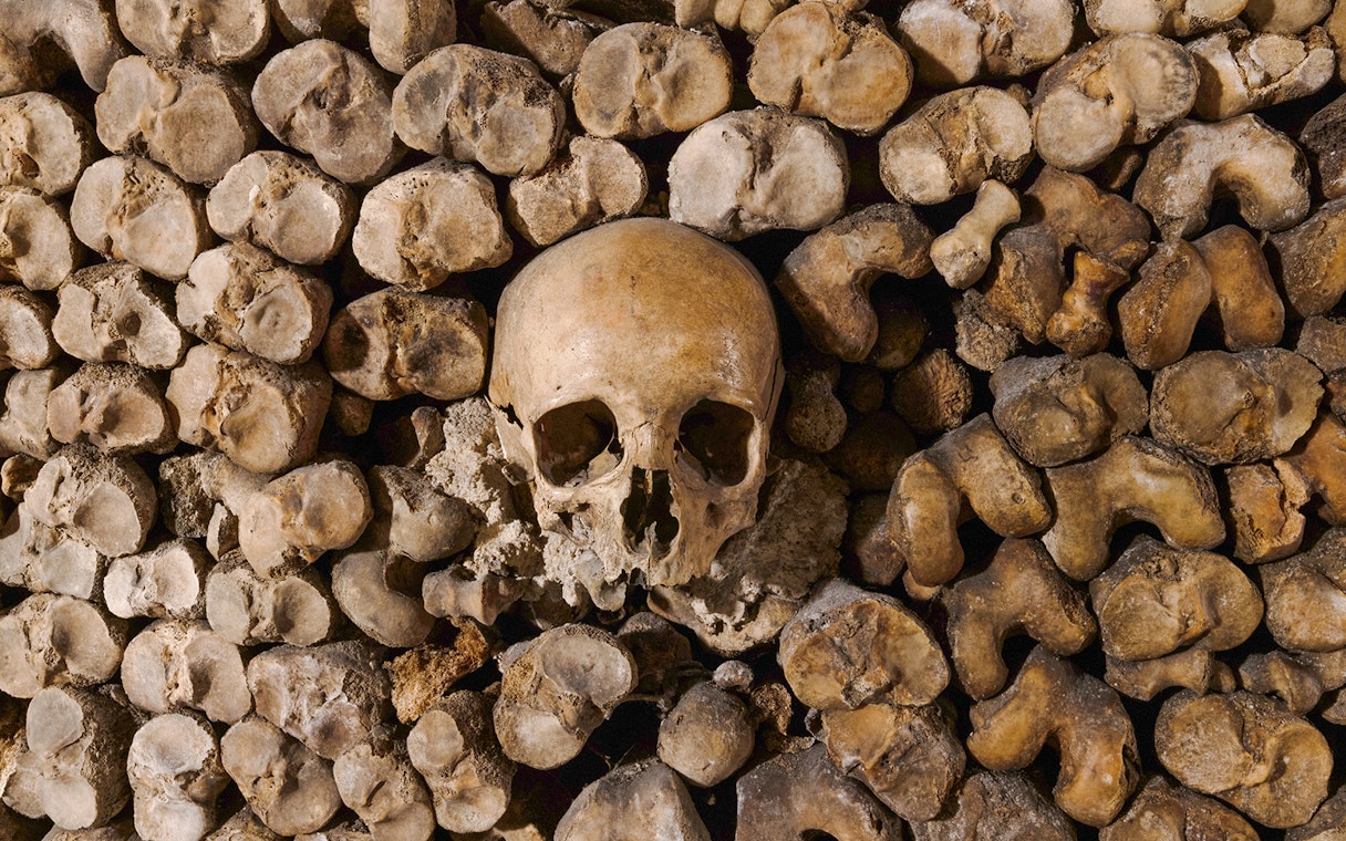Skull surrounded by bones in the Catacombs’ Ossuary, Paris.