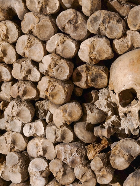 Skull surrounded by bones in the Catacombs’ Ossuary, Paris.