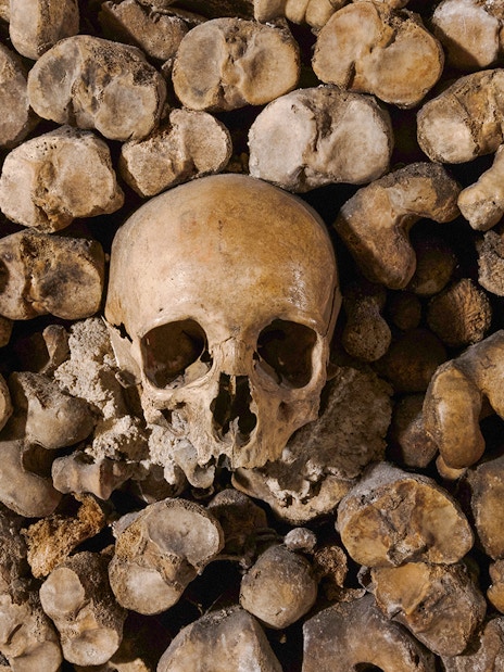 Skull surrounded by bones in the Catacombs’ Ossuary, Paris.