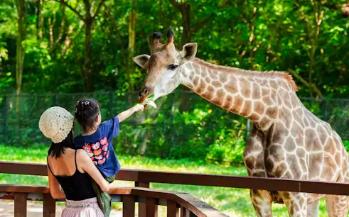 tickets voor het shenzhen safari park -1