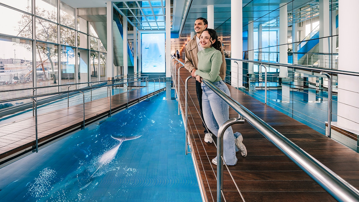 Tourists enjoying the view of the aquarium pool at Barcelona Aquarium.