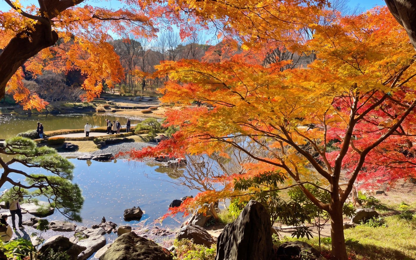 Visitors exploring the East Gardens in Chiyoda, Tokyo, surrounded by vibrant autumn foliage.