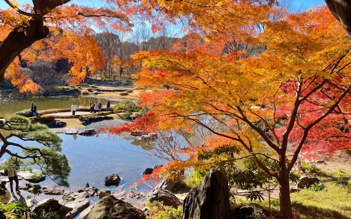 Visitors exploring the East Gardens in Chiyoda, Tokyo, surrounded by vibrant autumn foliage.