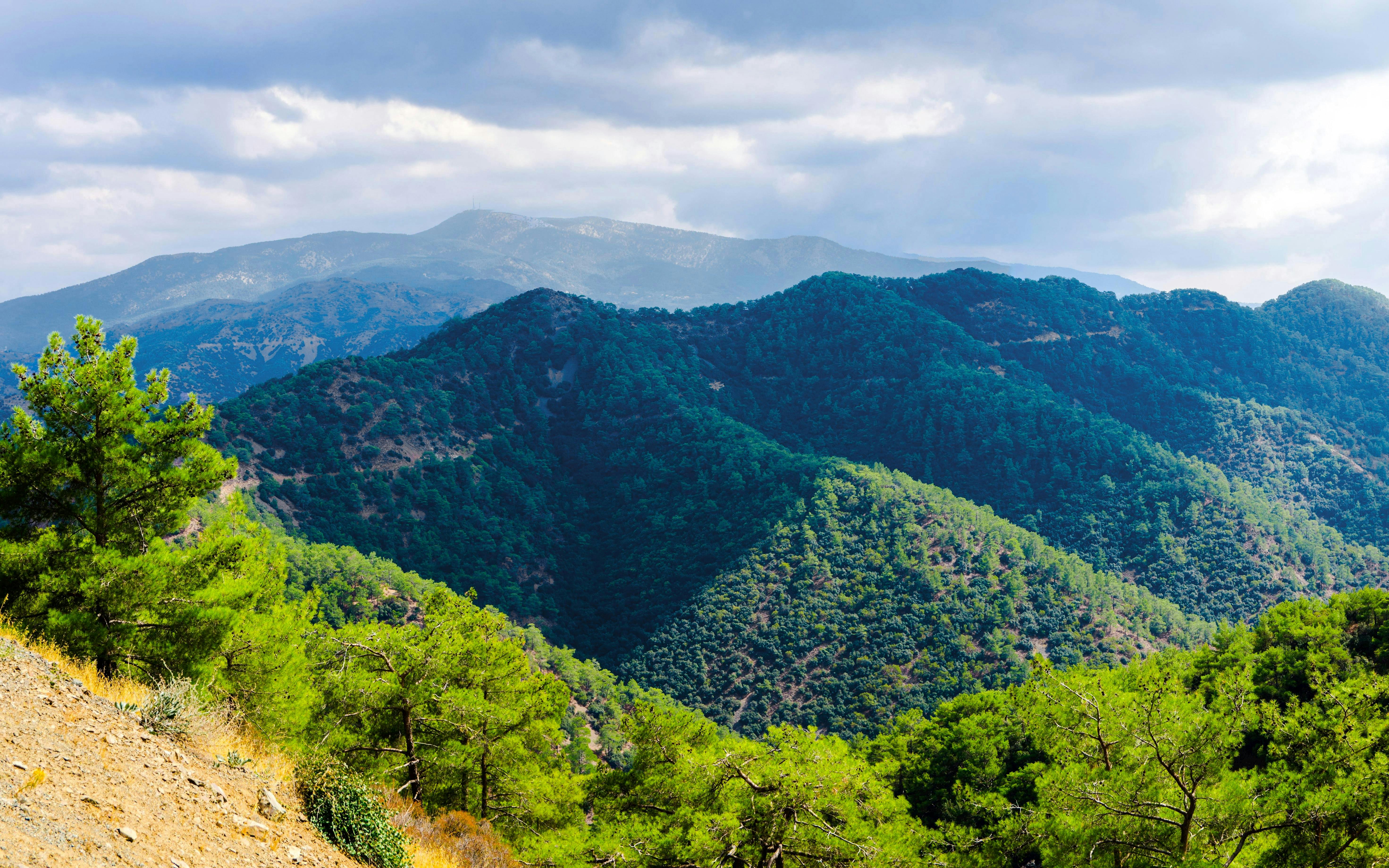 Panoramic view of Troodos Mountains range with lush green forests, Cyprus.