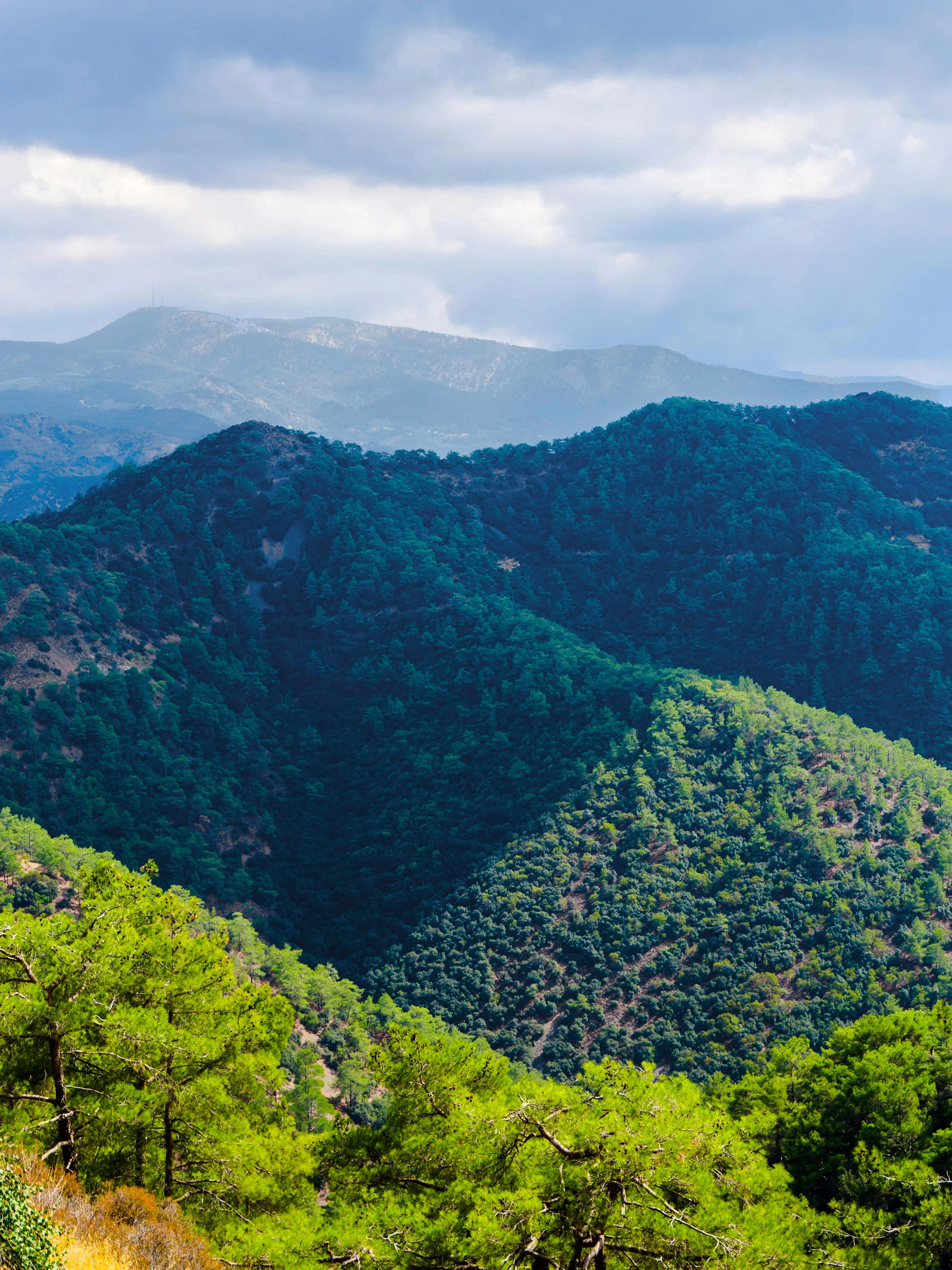 Panoramic view of Troodos Mountains range with lush green forests, Cyprus.