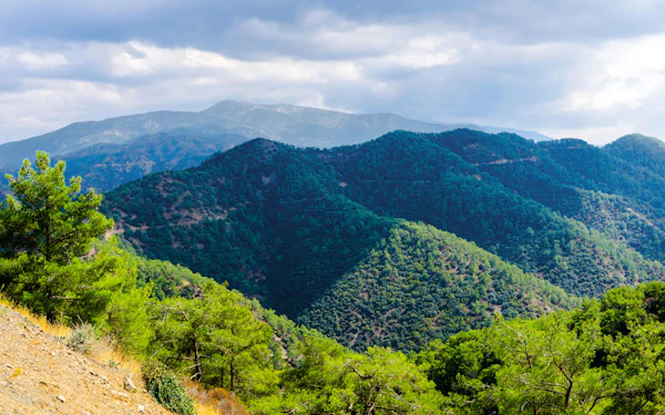 From Paphos: Troodos Viewpoints, Waterfall & Venetian Bridge with Wine Tasting