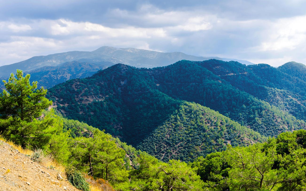 Panoramic view of Troodos Mountains range with lush green forests, Cyprus.
