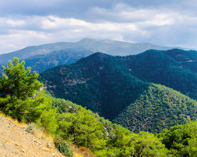 From Paphos: Troodos Viewpoints, Waterfall & Venetian Bridge with Wine Tasting