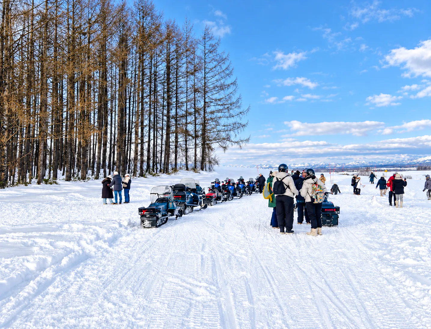 Sapporo: Asahiyama Zoo, Chiyoda Snow Park & Ningle Terrace