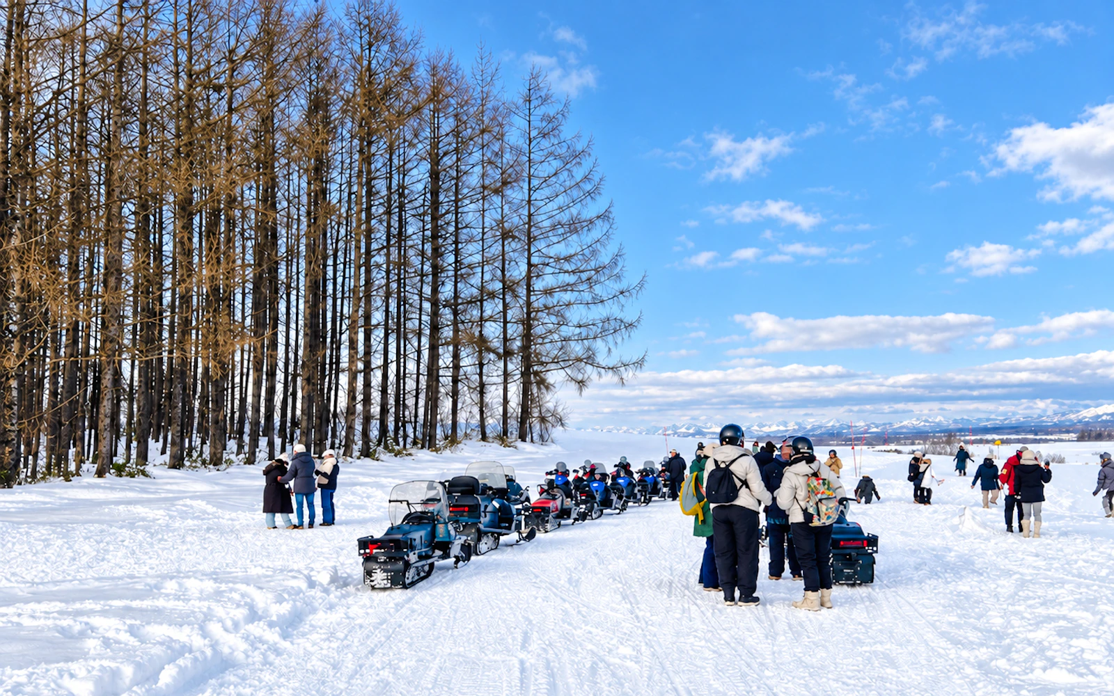 Sapporo: Asahiyama Zoo, Chiyoda Snow Park & Ningle Terrace