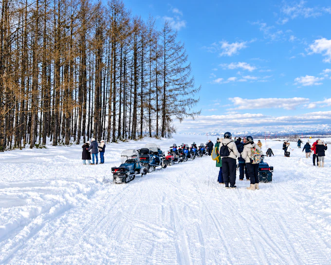 From Sapporo: Asahiyama Zoo, Chiyoda Snow Park and Ningle Terrace Tour
