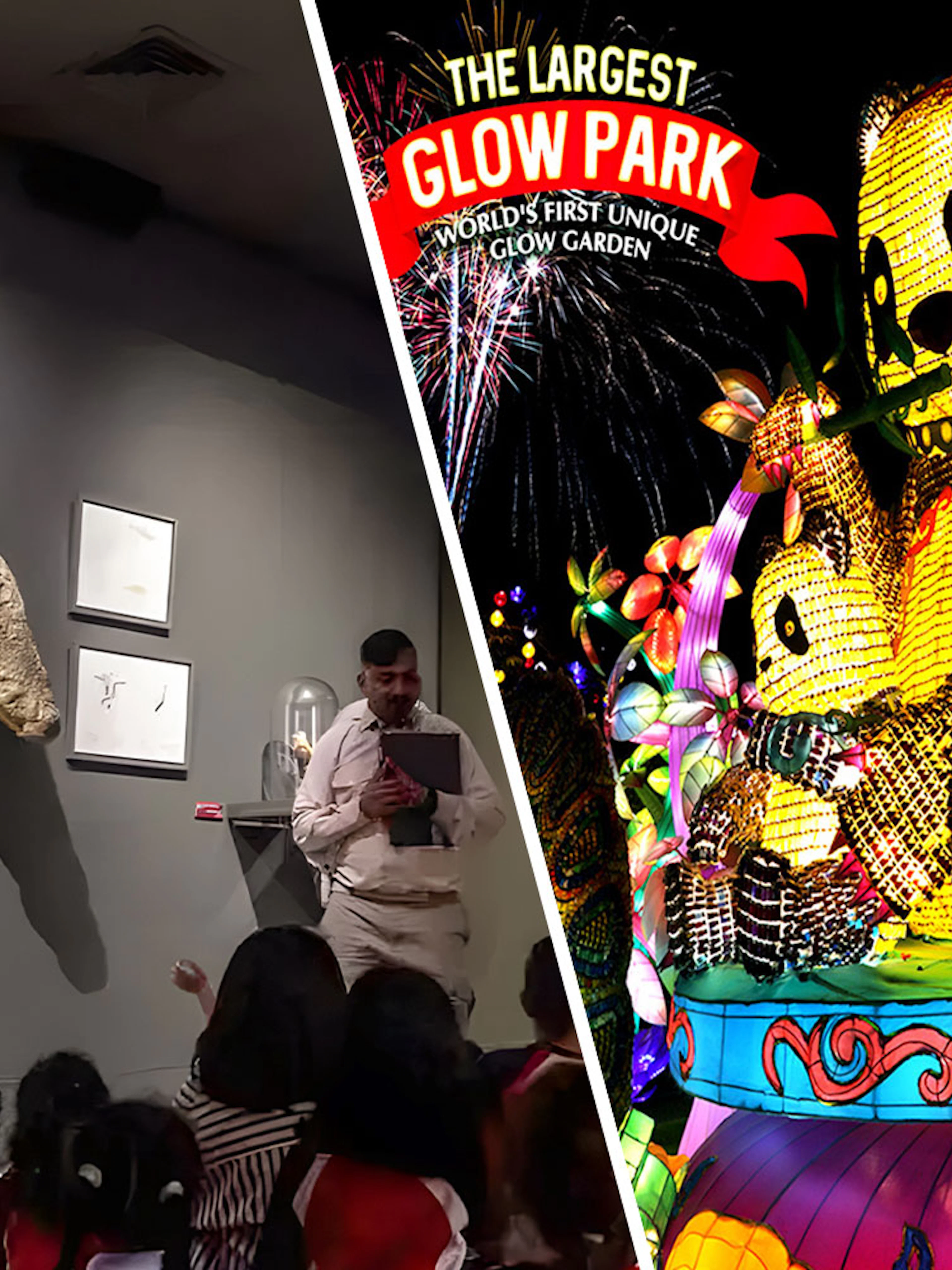Museum exhibit with children observing a crocodile display; vibrant glow park with illuminated panda figures.