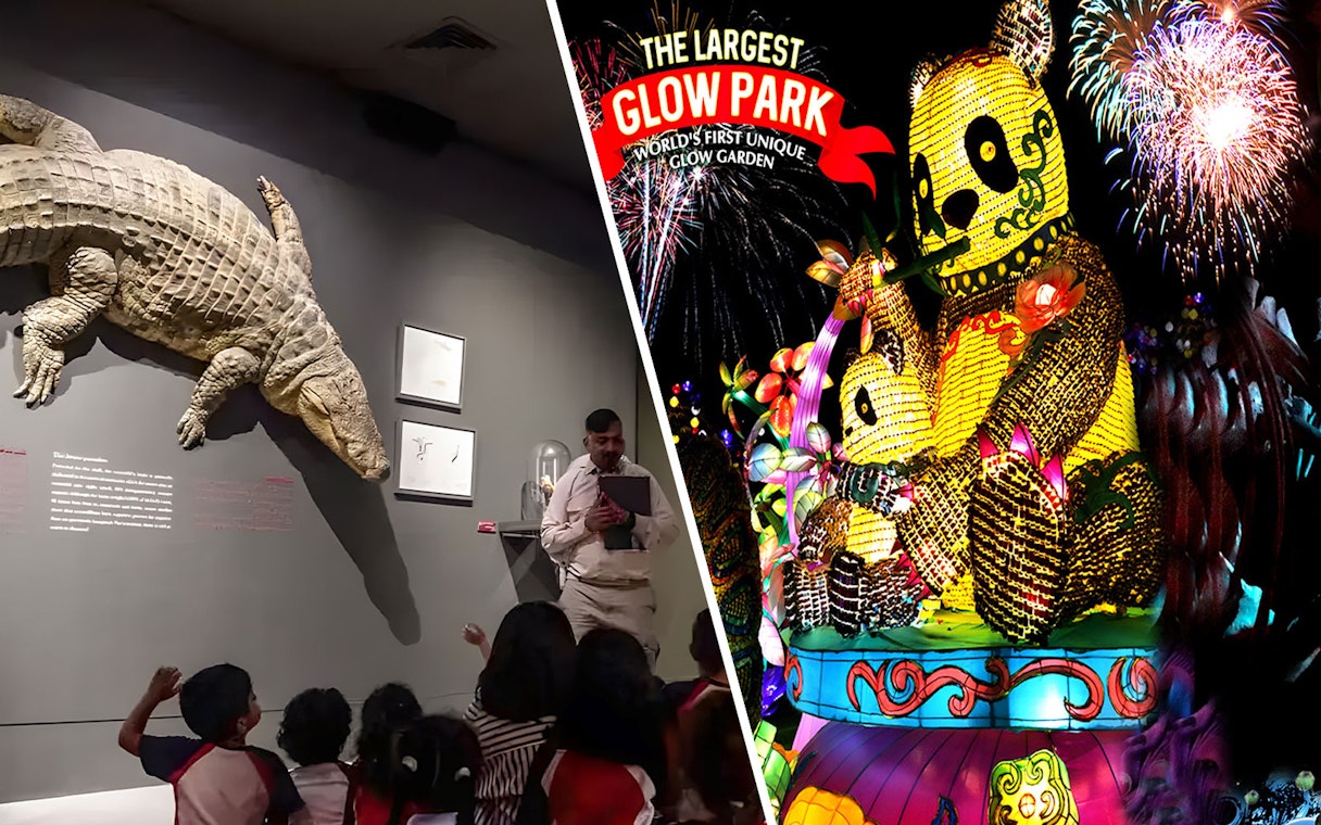 Museum exhibit with children observing a crocodile display; vibrant glow park with illuminated panda figures.