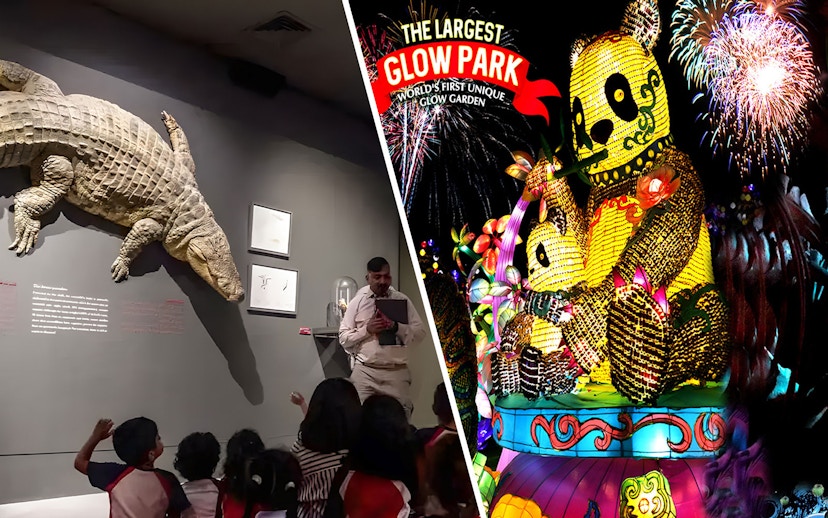 Museum exhibit with children observing a crocodile display; vibrant glow park with illuminated panda figures.