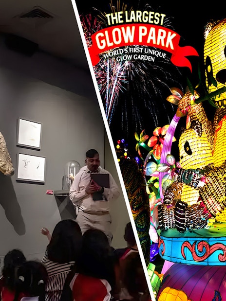 Museum exhibit with children observing a crocodile display; vibrant glow park with illuminated panda figures.