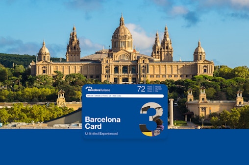 Barcelona Card: Access to 25+ Museums & Unlimited Public Transport