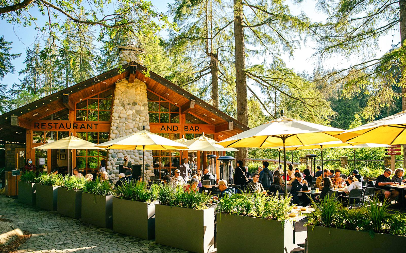 Outdoor dining area at Capilano Suspension Bridge Park with people enjoying meals under yellow umbrellas.