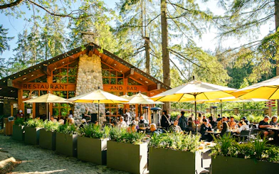 Outdoor dining area at Capilano Suspension Bridge Park with people enjoying meals under yellow umbrellas.