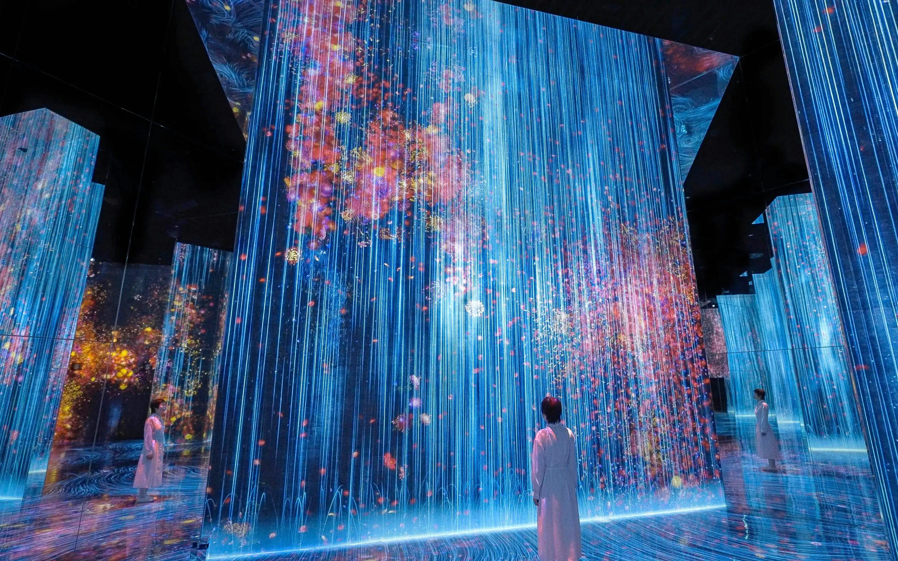 Wind Chimes & teamLab Biovortex: Kyoto Summer Day English and Chinese Guided Tour