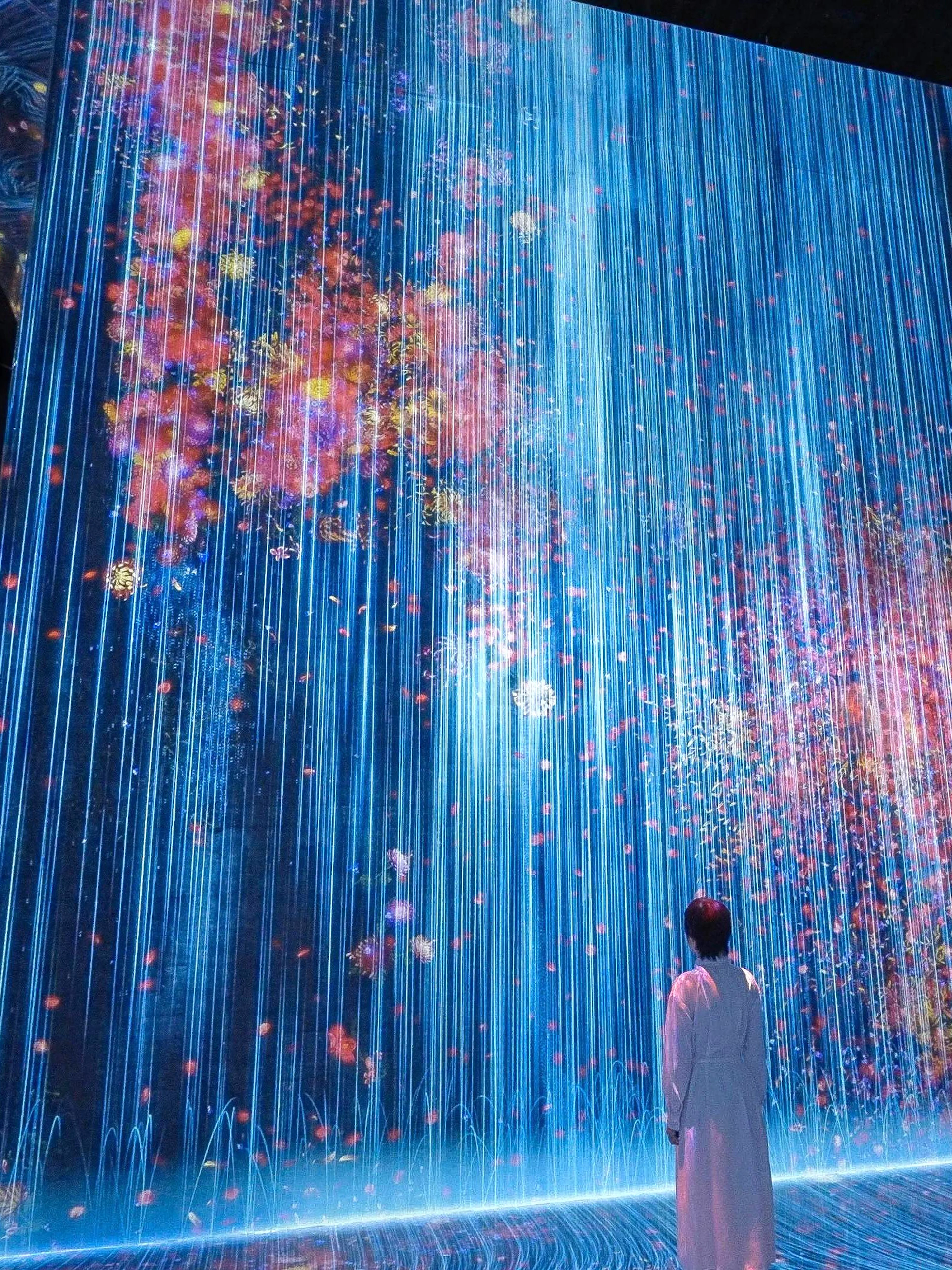 Immersive light and shadow art installation at teamLab Biovortex Kyoto.
