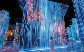 Immersive light and shadow art installation at teamLab Biovortex Kyoto.