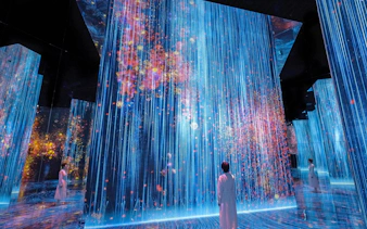 Immersive light and shadow art installation at teamLab Biovortex Kyoto.