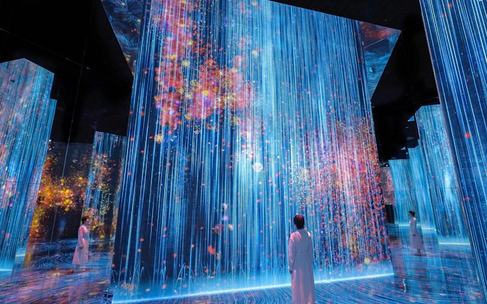 Immersive light and shadow art installation at teamLab Biovortex Kyoto.
