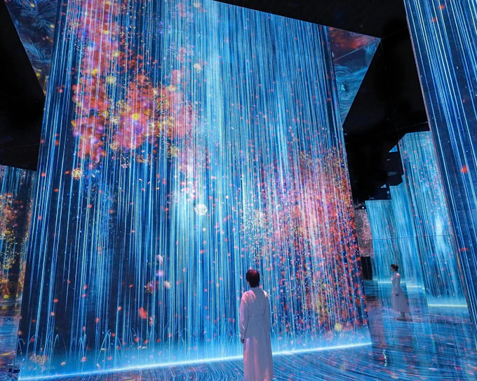 Wind Chimes & teamLab Biovortex: Kyoto Summer Day English and Chinese Guided Tour