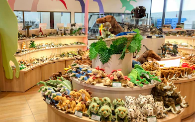 Plush dinosaur toys displayed at Okashigoten Nago Dino Park gift shop in Yanbaru Subtropical Forest.