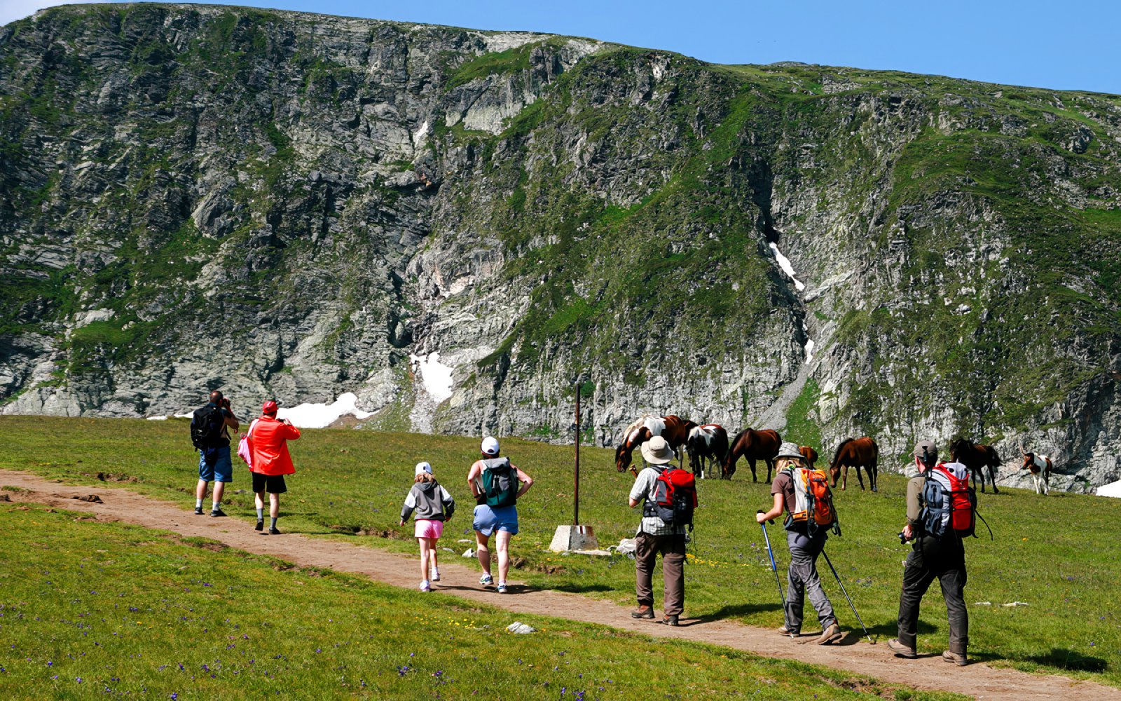 Hikers on a trail with horses grazing at The Seven Rila Lakes, Bulgaria.