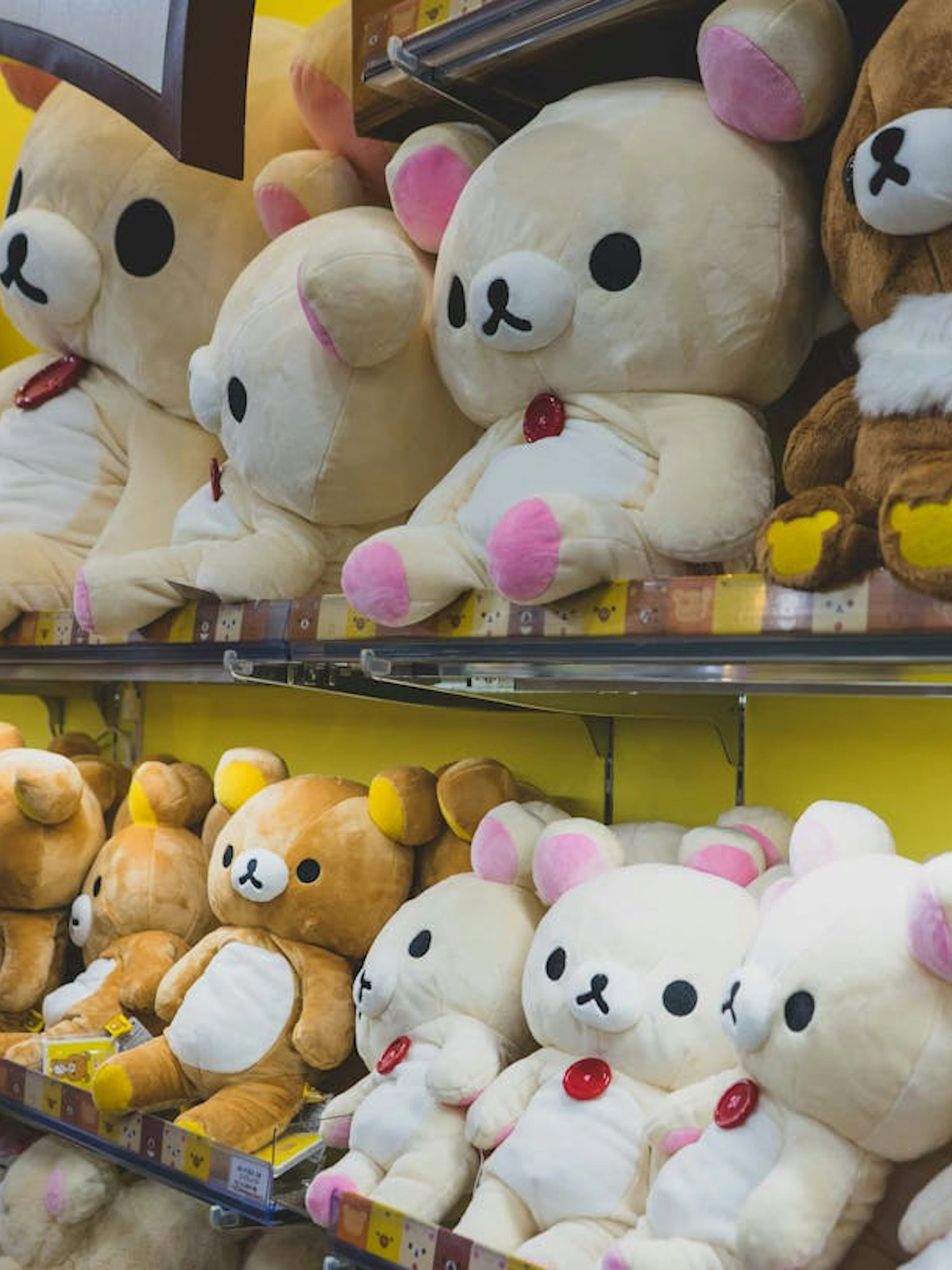 Stuffed bears on display in a Tokyo shop during Shibuya Sky and Meiji Shrine walking tour.