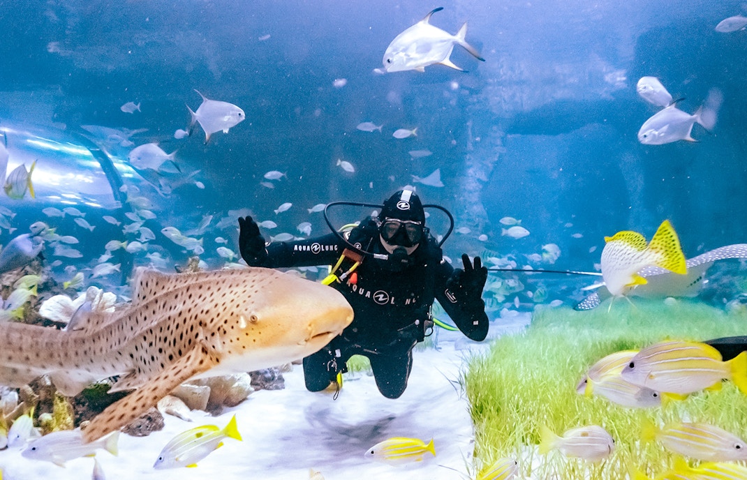 Relitto nel Mar Rosso