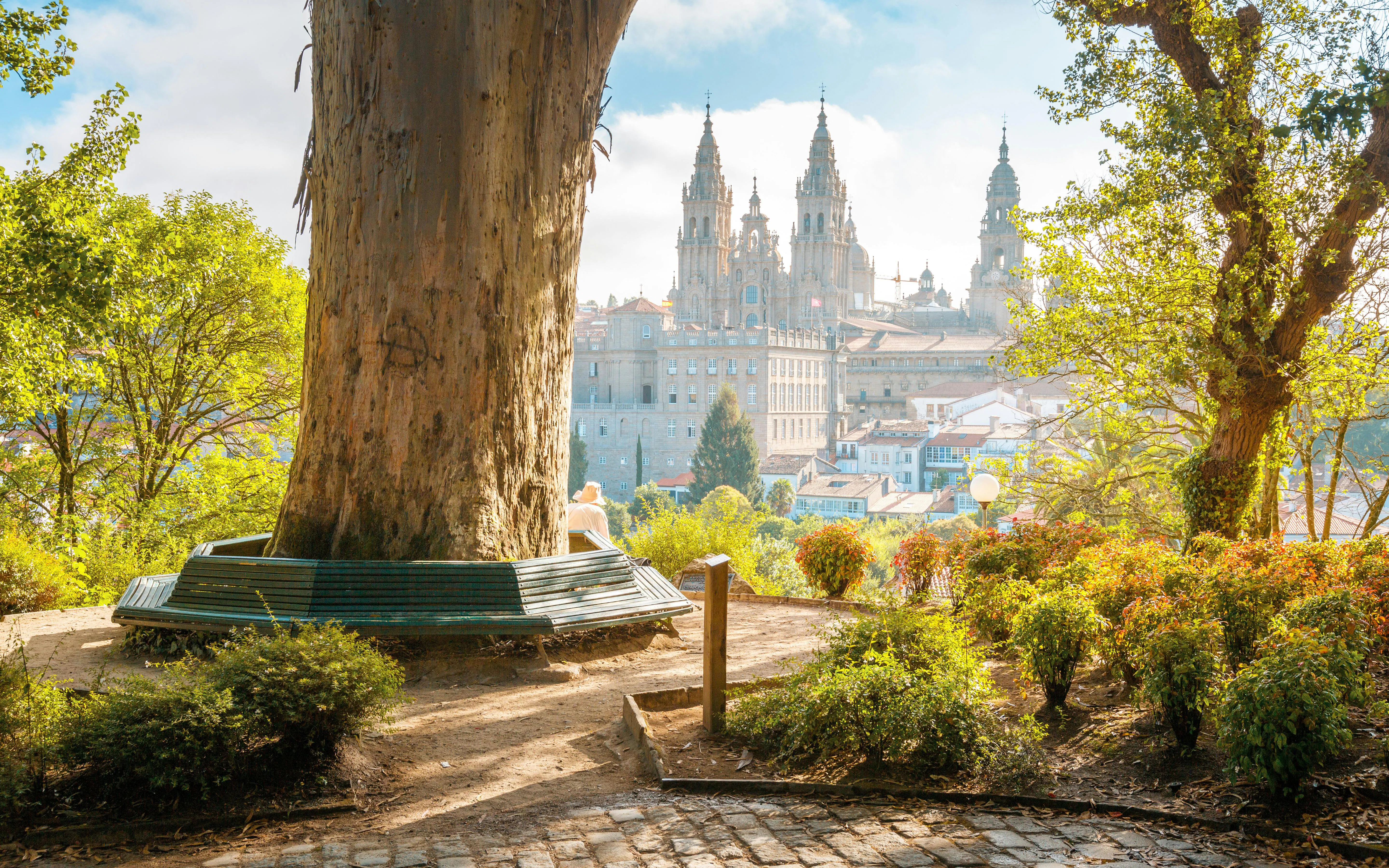 Santiago de Compostela Cathedral viewed from a park at sunrise, Galicia, Spain.