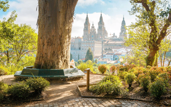 Santiago de Compostela Cathedral viewed from a park at sunrise, Galicia, Spain.
