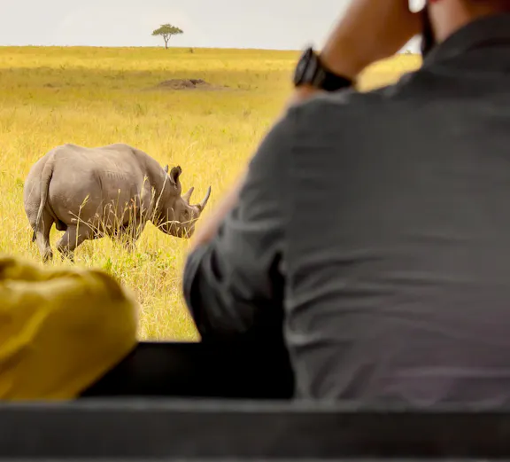 Tourists in safari car observing rhinoceros in Masai Mara National Park, Kenya.